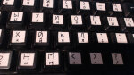Thumbnail for image 2 of 14
